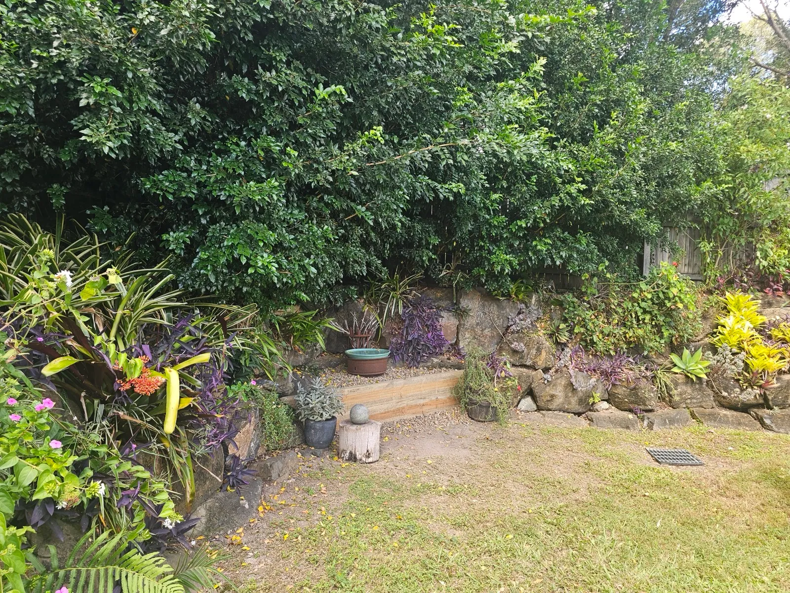 Established garden rockery with lush plants and bird bath