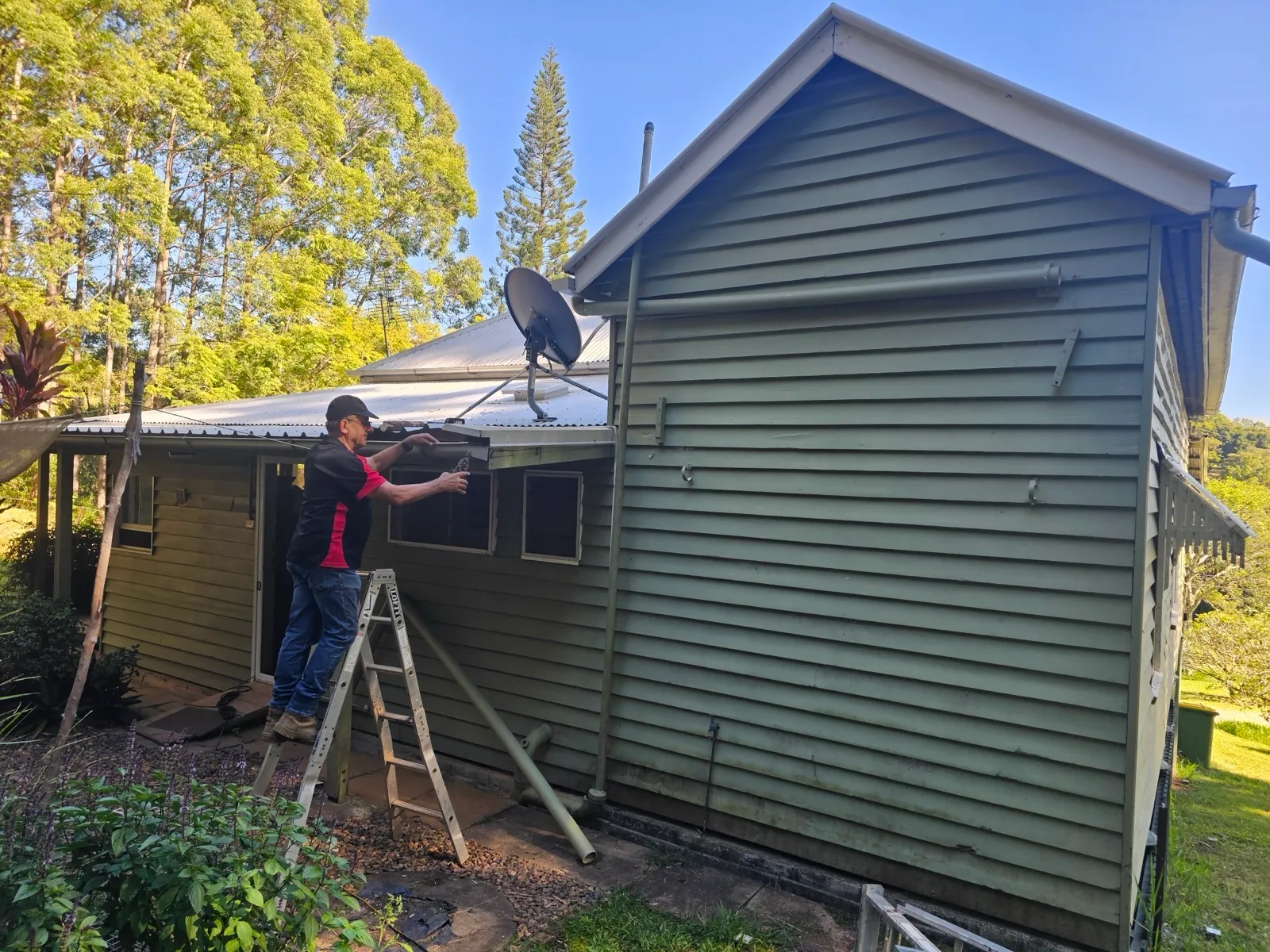 Rosco on ladder repairing gutters on weatherboard home